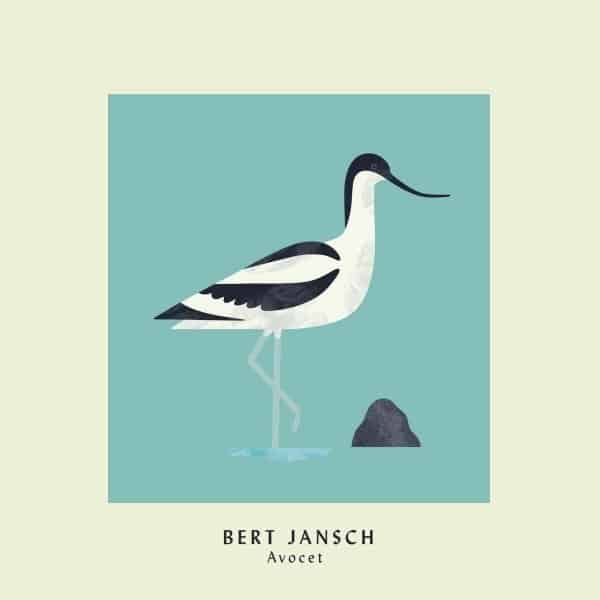 Bert Jansch Avocet (Expanded Anniversary Edition)
