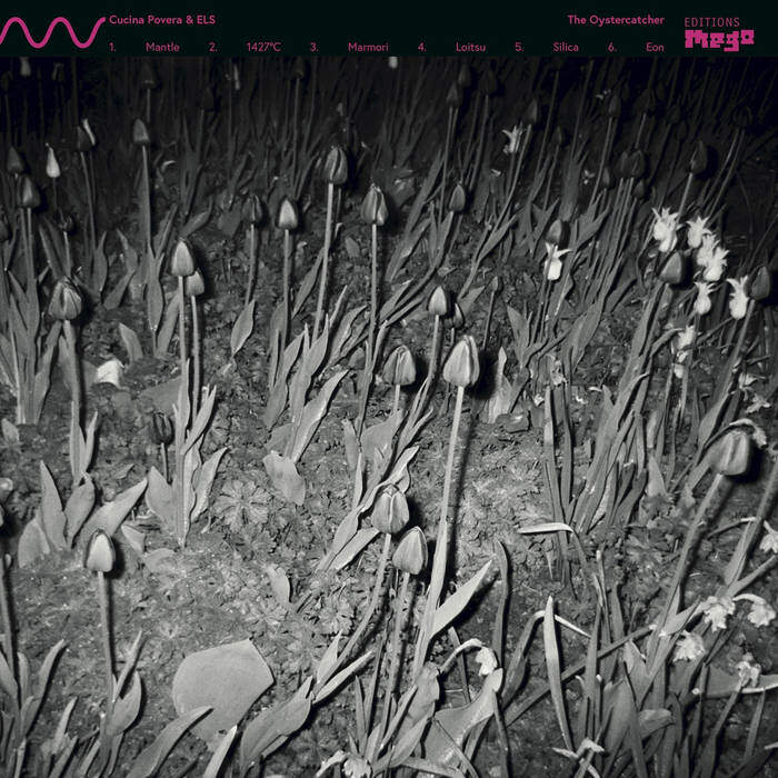 Cucina Povera & ELS The Oystercatcher
