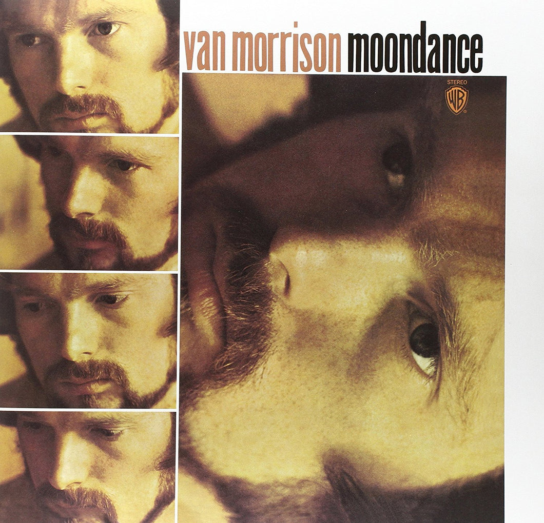 Van Morrison Moondance