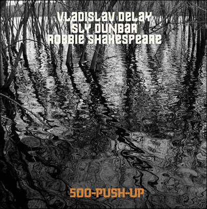 Vladislav Delay Meets Sly & Robbie 500 Push Up